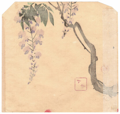 GLICINE IN FIORE (Ayaoka Yushin)