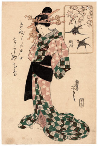 FIORI DI CILIEGIO E RONDINI (Utagawa Yoshitora)